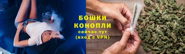 дживик Баксан