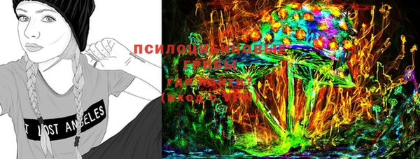 дживик Баксан