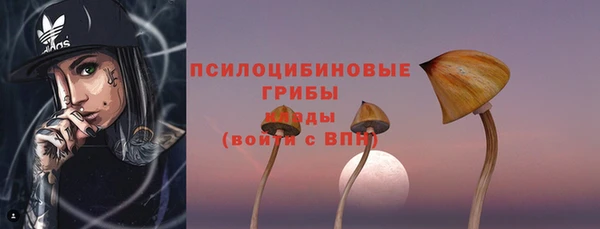 дживик Баксан