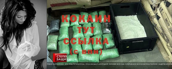дживик Баксан