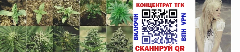 купить закладку  Урюпинск  ТГК вейп с тгк 