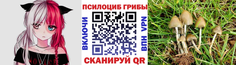 где можно купить наркотик  kraken рабочий сайт  Псилоцибиновые грибы мухоморы  Урюпинск 
