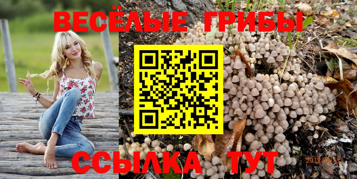 Урюпинск  Псилоцибиновые грибы мухоморы  Вход с VPN 